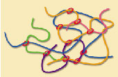 Slip-link model